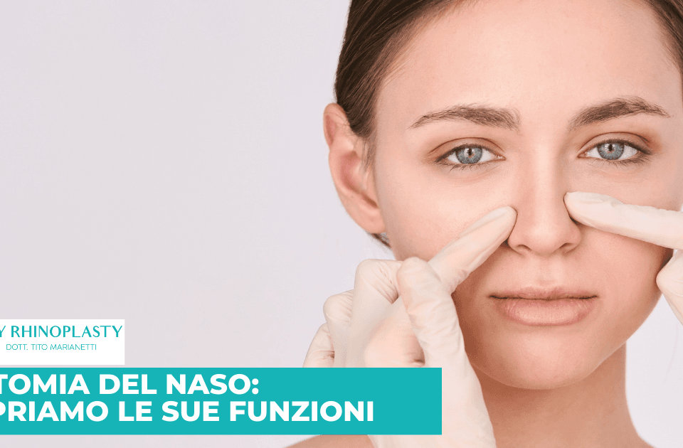 Anatomia del naso